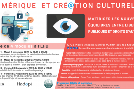 Novembre 2020 – Programme "Numérique et création culturelle" proposé par l'école de formation des barreaux de le Cour d'appel de Paris (EFB)